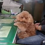 李聰仁 - @congren.li - Instagram