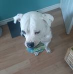 Conner Armstrong - Facebook