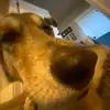 Connor Atkinson - @connor_atkinson48 - TikTok