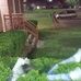 Conner Brewer - Facebook