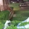 Connerbrewer3 - @m.c.b_205 - TikTok