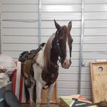 conner Bruce allen - @bigdog5257 - Instagram