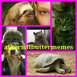 Conner Bruce Berrier - @atkernalbuttermemes - Instagram