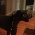 Conner Burns - @conner.burns.399 - Instagram