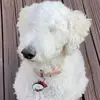 Conner Carlson - @crc_2018 - TikTok