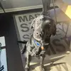 Konnor Carlson - @konnorcarlson - TikTok
