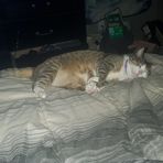 Connor Cox - Facebook