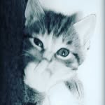 Conner Delong - @connerdelong10 - Instagram