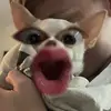 conner harper - @connerharper2386 - TikTok