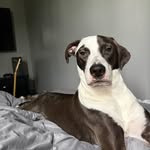 Conner_Harper_Official - @conner_harper_official - Instagram