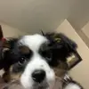 ConnerHarper-123 - @conner2pro - TikTok