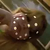 Harper Conner - @harper.conner4 - TikTok