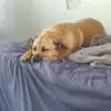 Conner Hart - @conner.hart7 - TikTok