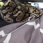 Konnor Hyde - Facebook