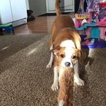 Conner Jordan - @hydrift - Instagram
