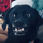 Conner Jordan - @connerojordan - Instagram