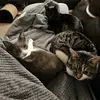 Conner-jordan Davies - @sh4d0ww01f4478 - TikTok