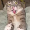 Conner Jordan - @connerjordan57 - TikTok
