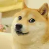 connermcclure508 - @connermcclure508 - TikTok