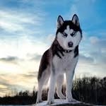 conner mckee - @connermckee12345 - Instagram