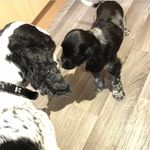 Conner - @moss_conner - Instagram