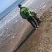 Connor Murphy - Facebook