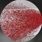@connerphillips_ - Instagram