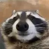 Conner R3y - @conner.ray3 - TikTok