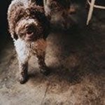 Conner Riley - @connerriley1436 - Instagram