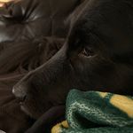 Conner Riley - @connerrileyyy - Instagram
