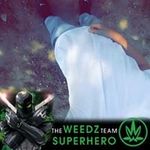 Conner Riley - @connerboy420 - Instagram