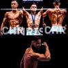 connersafford - @connersafford6 - TikTok