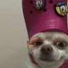 Conner Scott - @connerscott - TikTok