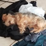 conner scott - @conner_scott1234 - Instagram