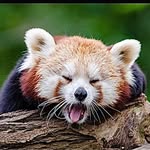 Conner simmons - @conner09636363 - Instagram