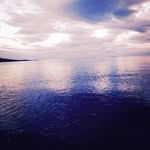 Conner alexander thomson - @connerthomson0501 - Instagram