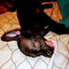 Conner Vance - @me_and_my_dead_dog - TikTok