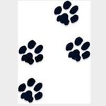 Connie Allison - @candthebears - Instagram