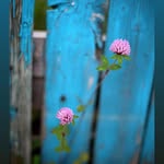 Connie Allison - @forgotten_treasures1 - Instagram