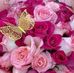 Amore Connie - Facebook