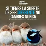 Connie Armenta - @chapis081986 - Instagram
