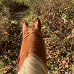 Connie Arney - @eastsiderunner55 - Instagram