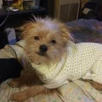Connie Asher Soule - Facebook