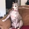 connieasher775 - @connieasher775 - TikTok