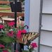 Connie Bagley - Facebook