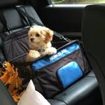 Connie Bailey Friedline - @jcfriedline - Instagram