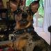Connie Barlow - Facebook