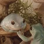 Connie Barron - @conib14 - Instagram