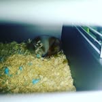 connie barron - @connie_and_kevin - Instagram