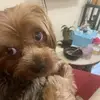 conniebarron8 - @conniebarron8 - TikTok